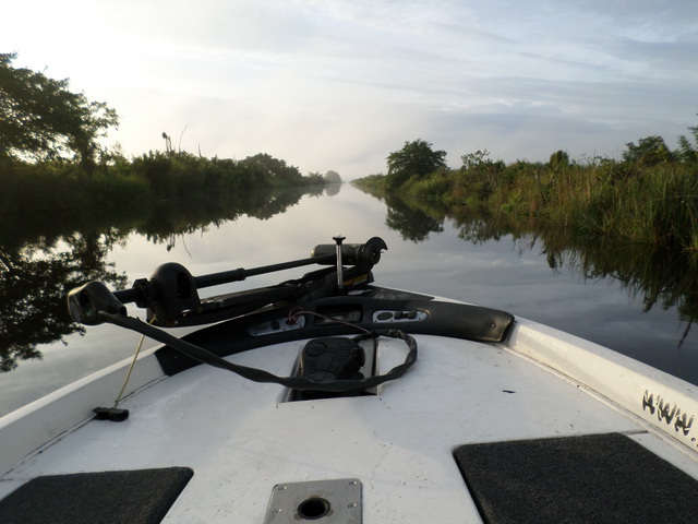 everglades_06.JPG