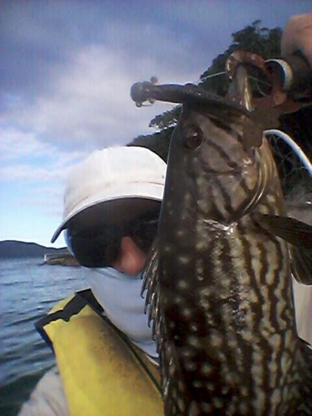 IMG-20160513-WA0042.jpg