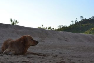 Rancho Guatapará - São Félix do Xingu - PA