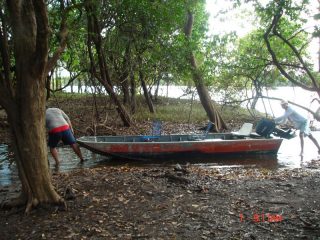 Caminho para Lago De Pesca De Tucunaré   3