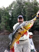 Agenor - Tucunaré Açu De 7 Kg.