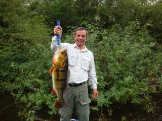 Tucunaré Paca 5 kg