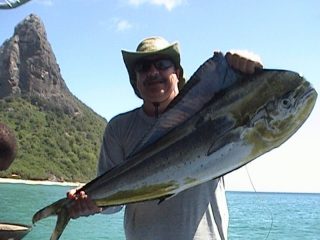 Dourado do mar
