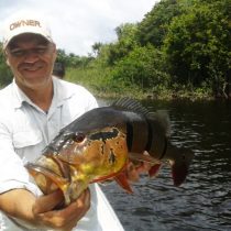 Savana no Rio Negro