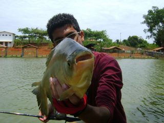 Brenner seu tambinha