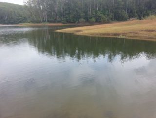 paraíso para os peixes e pescadores