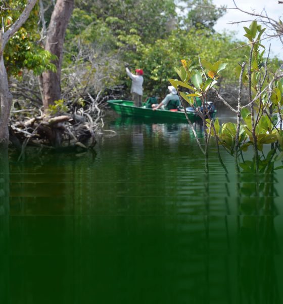 Meu barco