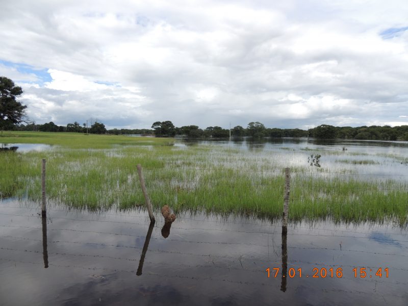 enchente no pantanal 001.JPG