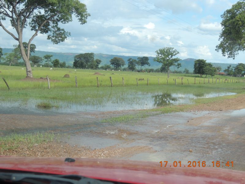 enchente no pantanal 050.JPG