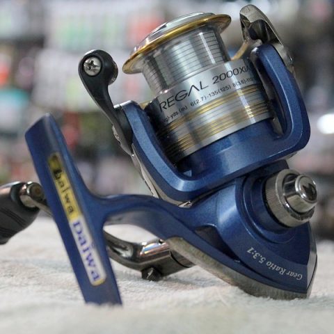 daiwa_regal_xia-04_b.jpg.5005e7153423ce21663204964292e9d8.jpg