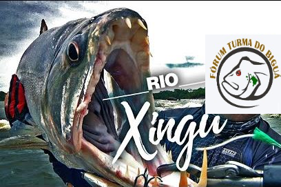 Xingu.png.db89eb061aac0587b10bcf6410efaa45.png