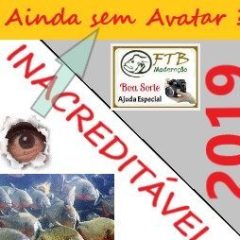 Andrez Pinto Villas