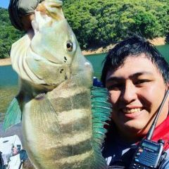 Recorde mundial na pesca de Fly: Tucunaré de 91 centímetros é o maior da  categoria All-Tackle