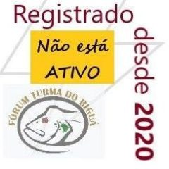 Brenno Rubim Moreira