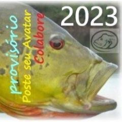 Dieggo312