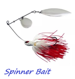 Spinnerbait.png.1f7b47f1b949a68aeec85854e382aa04.png
