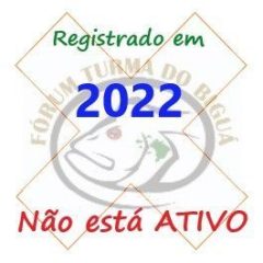 Alexandre Avila Godoy