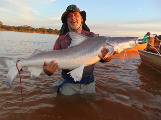DSC00041.JPG.8272e512cd6b8fc2f8346b32cc09d563.JPG