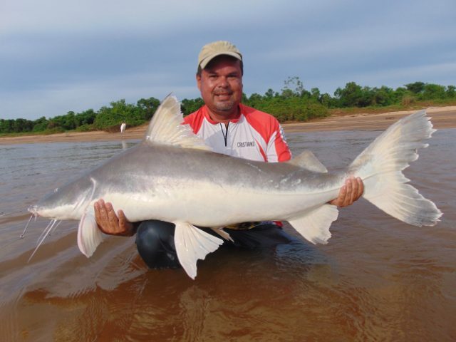 DSC00048.JPG.8119ee3fc5a3a2f8e0a85945b7249419.JPG