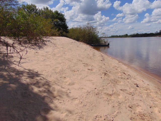 DSC00065.JPG.af7f683dbfab34a6869f0c7c7645933c.JPG