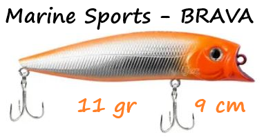 Brava90laranjinha.png.89dbec67aec06e81bca0cbbf24ac041f.png