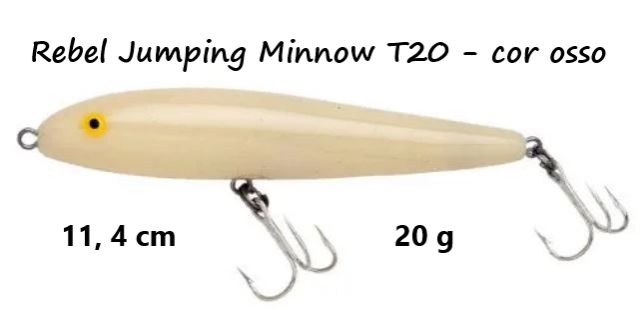 T20Osso.png.f12e07c24ad18b6810ece868717bb325.png